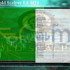 Oracle Gold Scalper EA MT4 Input