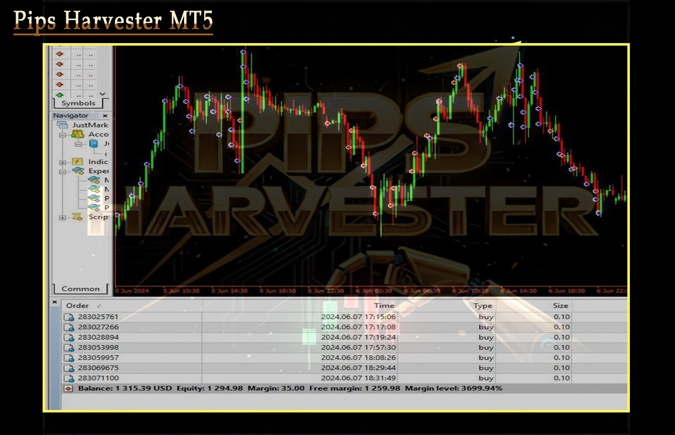 Pips Harvester MT5 Backtest