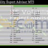 RS Volatility Expert Advisor MT5 Backtest