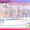 RSI Mashka EA MT4 Backtests
