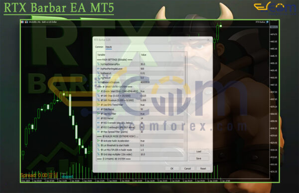 RTX Barbar EA MT5 Input