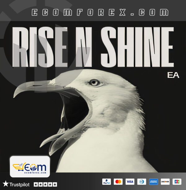 Rise N Shine EA MT5 Logo