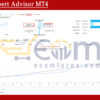 SAR Expert Advisor MT4 Live Result