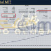 TIO Global MT5 Backtest