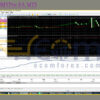 TeamolMDMYPro EA MT5 Backtest
