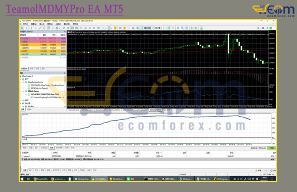 TeamolMDMYPro EA MT5 Backtest