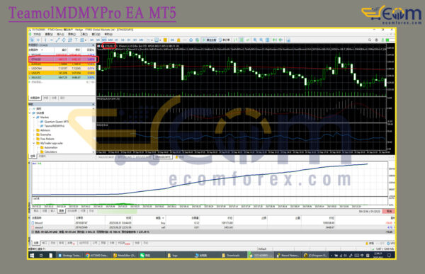 TeamolMDMYPro EA MT5 Backtests Result