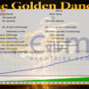 The Golden Dancer MT4 Backtest
