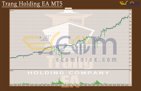 Trang Holding EA MT5 Backtest