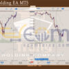 Trang Holding EA MT5 Review