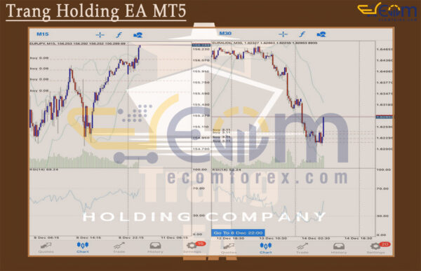 Trang Holding EA MT5 Review