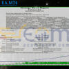 Universe EA MT4 Backtest