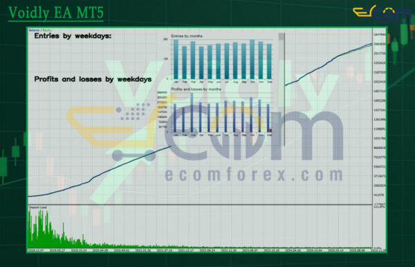 Voidly EA MT5 Backtest