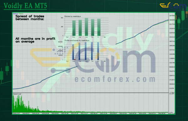 Voidly EA MT5 Backtests