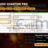Xauusd Quantum Pro EA MT5 Backtest Result