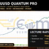 Xauusd Quantum Pro EA MT5 Backtests