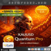 Xauusd Quantum Pro EA MT5 Logo
