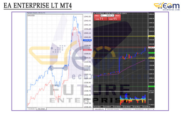 EA ENTERPRISE LT MT4 Review