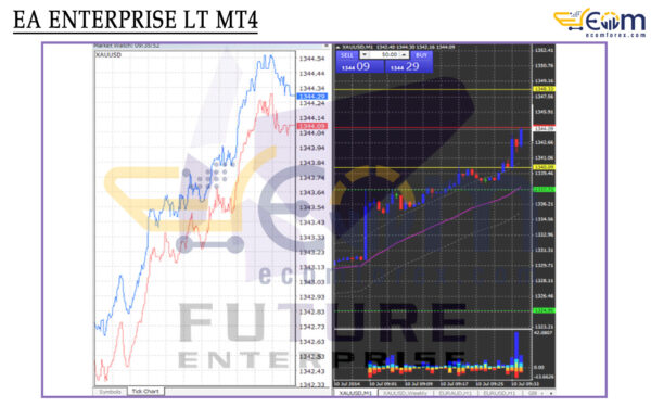 EA ENTERPRISE LT MT4 Reviews