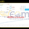 GoldPro EA MT4 Live Result