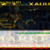 Market Makers Step EA MT4 Backtest