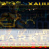 Market Makers Step EA MT4 Backtests