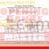 Opening Range Breakout Master EA MT4 Backtest