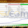 Smart Trade EA MT4 Backtest