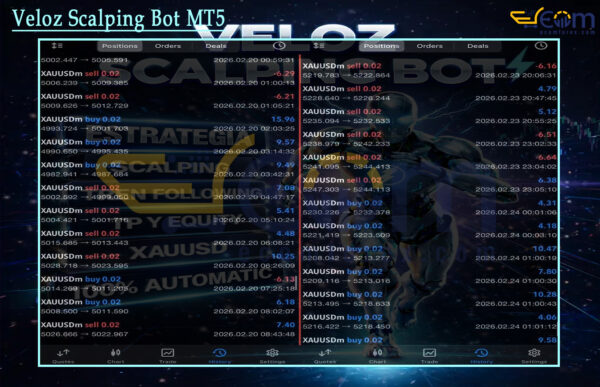 Veloz Scalping Bot MT5 Live Signal