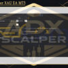 ADX Scalper XAU EA MT5 Setting