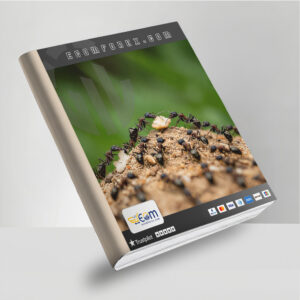 Adaptive Trade Master EA MT4