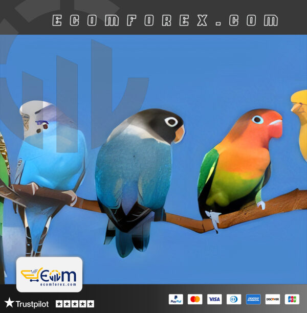 Al Kanari Again EA MT4 Logo