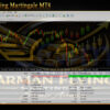 Arman Flying Martingale MT4 Backtest