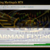 Arman Flying Martingale MT4 Backtests
