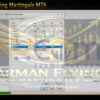 Arman Flying Martingale MT4 Input