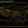 Arman Flying Martingale MT4 Review