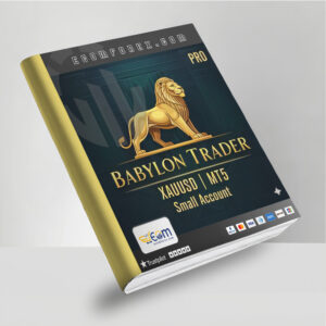 Babylon Trader Small Account Pro MT5