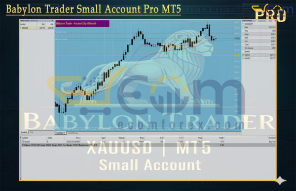 Babylon Trader Small Account Pro MT5 Reviews
