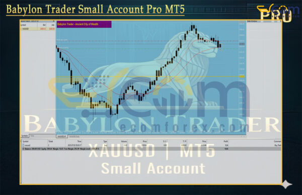 Babylon Trader Small Account Pro Reviews
