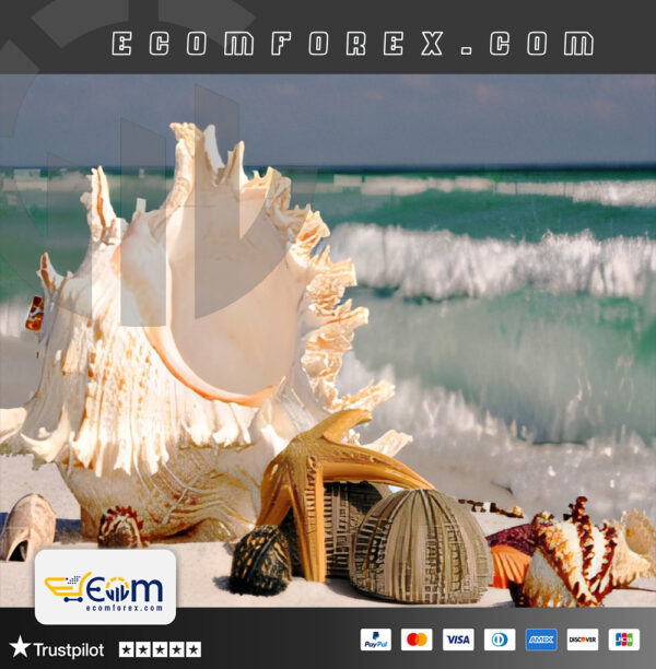 Bollinger and RSI and Moving MT4 Logo