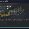 Btc Shudoken EA MT5 Setting