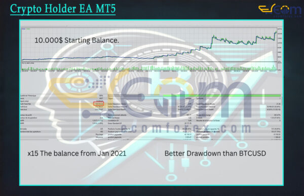 Crypto Holder EA MT5 Backtest