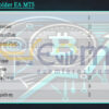 Crypto Holder EA MT5 Review