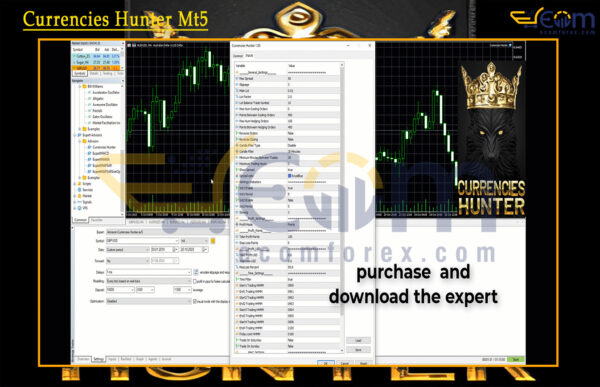 Currencies Hunter Mt5 Input