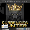 Currencies Hunter Mt5 Logo