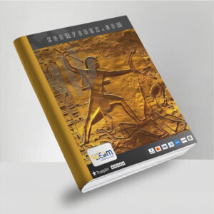 Egyptian Fighter Arman EA2 MT4