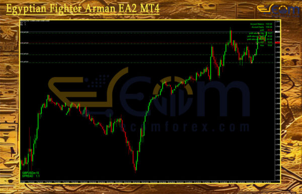 Egyptian Fighter Arman EA2 MT4 Review
