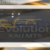 Evolution XAU EA MT5 Setting