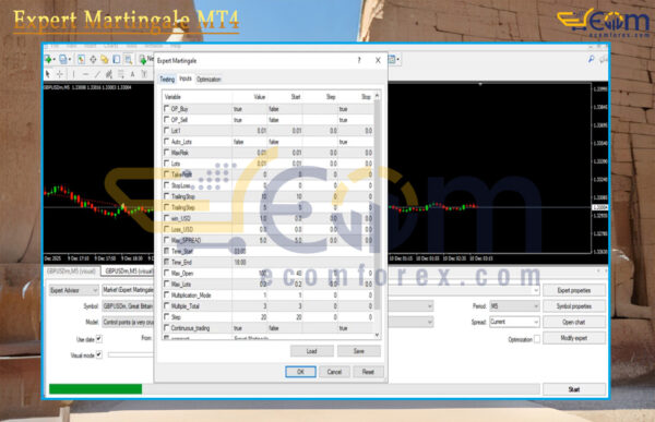 Expert Martingale MT4 Input
