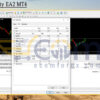 Forex Safety EA2 MT4 Input